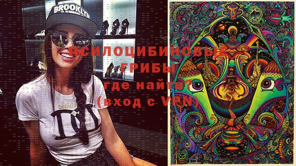прущая мука Инсар