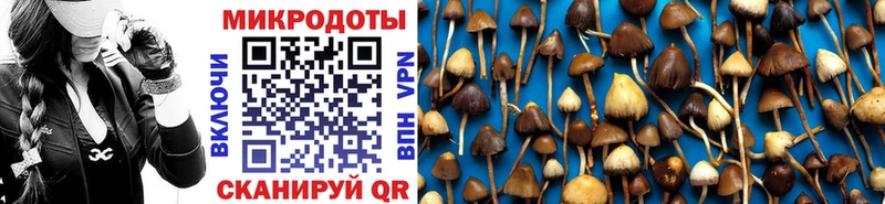 Купить  Междуреченск  Псилоцибиновые грибы мицелий 
